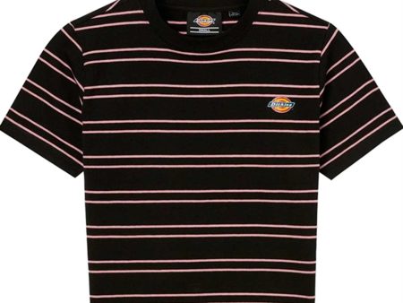 Dickies Westover Stripe Tee Black Foxglove Online Hot Sale