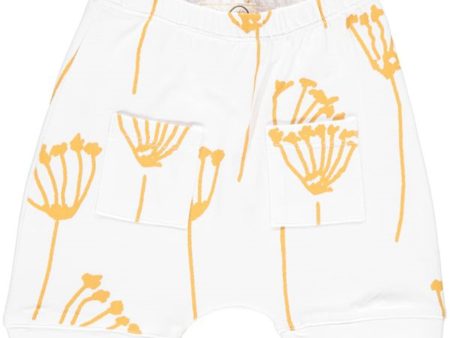 GRO White Drini Baby Shorts Online